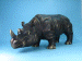AS506 Male Rhino