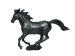BP723 Horse Running (M)